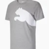 camiseta oversized hombre Puma