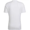 Camiseta deportiva para hombre Adidas Entrada 22