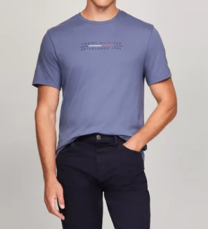 camiseta tommy hilfiger para hombre