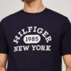 camiseta tommy hilfiger hombre