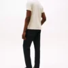 Polo Tommy Hilfiger Hombre