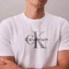 Camiseta Calvin Klein Hombre Original