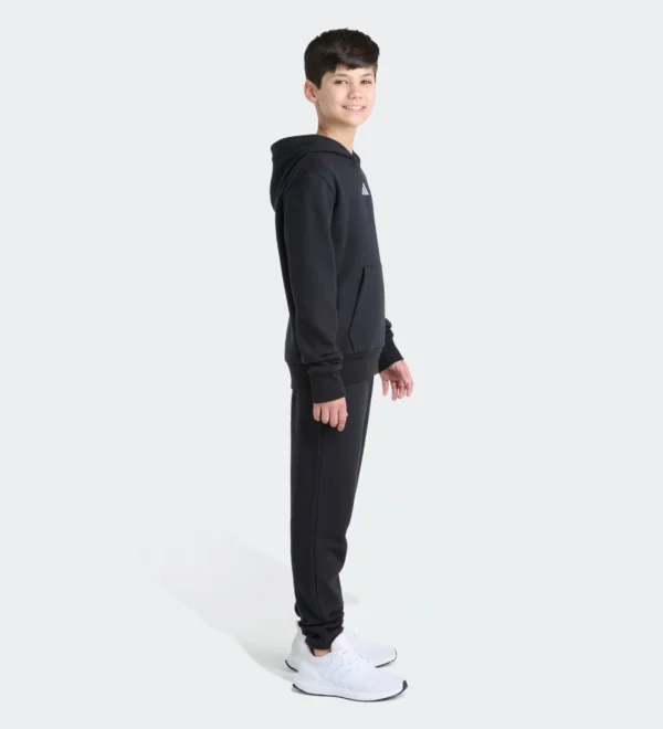 Conjunto ADIDAS Pullover & Jogger