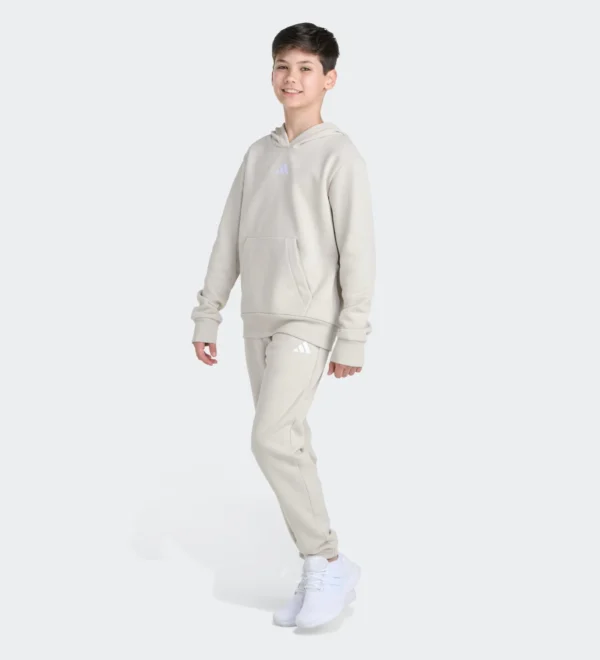 Conjunto ADIDAS Pullover & Jogger